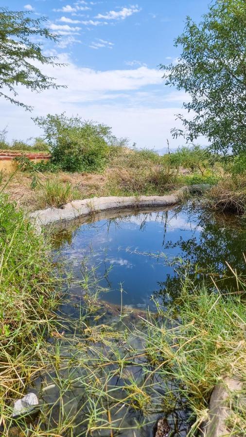 Africa Safari Lake Natron Camping Mtowabaga Екстериор снимка